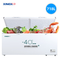 星星(XINGX)BD/BC-718GS超低温厨房商用保鲜设备卧式冷柜单温冷藏冷冻转换柜家用大容量深冷速冻柜铜管制冷