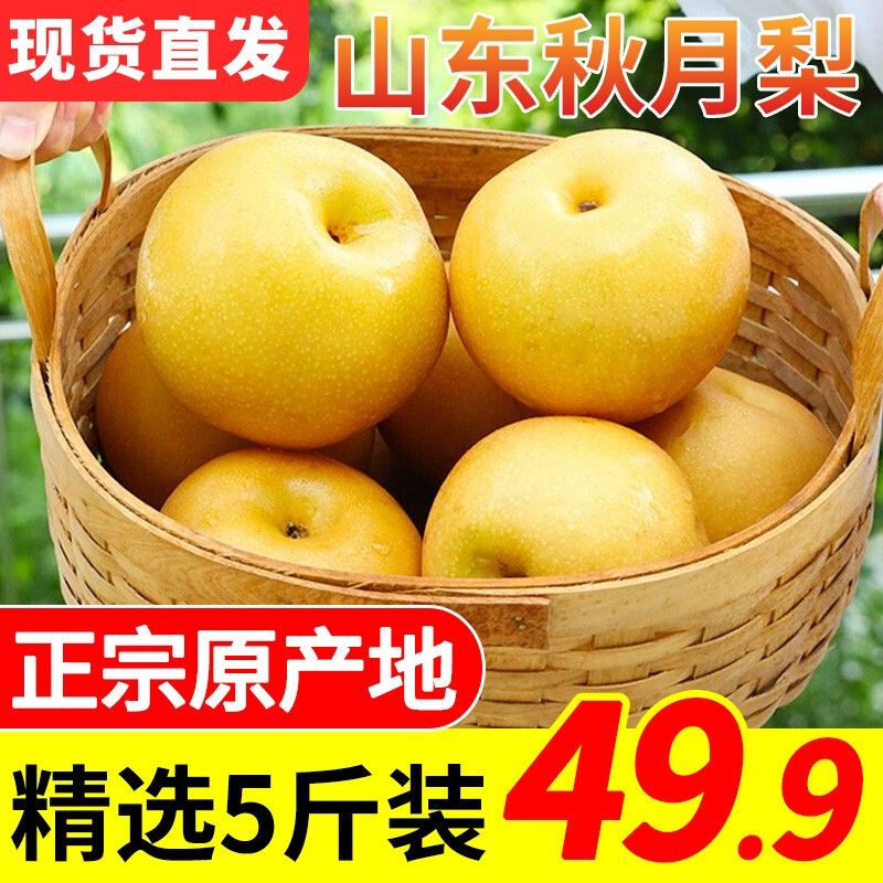 产地精选 当季梨子3/5/9斤装 新鲜应季水果 脆甜多汁冰糖梨 丰水梨