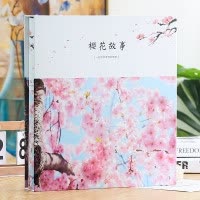 6寸800张相册影集过塑可放相册本插页式大容量4r盒装家庭纪念册 三维工匠 梦想天空