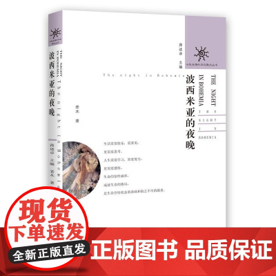 波西米亚的夜晚 李永华 花城出版社 正版书籍