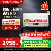 AO史密斯60升电热水器 专利免更换镁棒 金圭内胆 全隐藏安装 大屏触控 双驱速热节能 E60EDX 遥控预约