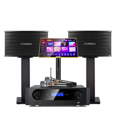 山水(SANSUI)PK09 大功率家用电视卡拉OK套装 家庭环绕影院电视重低音炮K歌音响 山水PK09+功放+美声话筒