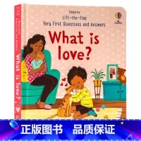 [正版]Usborne出品问与答系列 爱是什么英文原版绘本 What is love 幼儿启蒙生活习惯图画纸板翻翻书儿
