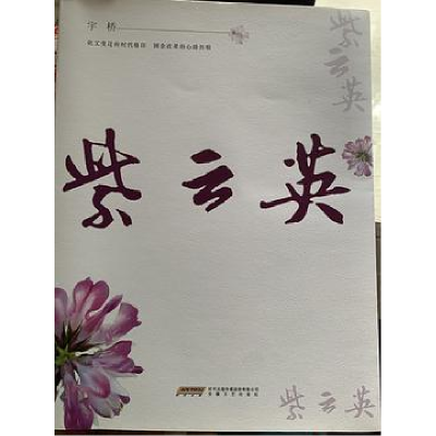 正版新书]紫云英宇桥9787539670409