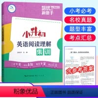 [正版]2021新版培优新帮手 小升初英语阅读理解集训 小学6年级升初中人教RJ通用版阅读理解专项训练辅导书 小学毕业