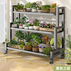 彭梵花架