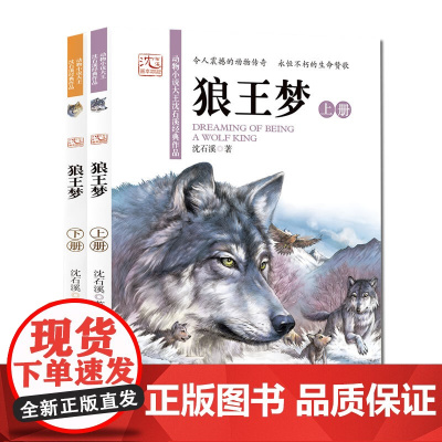 沈石溪画本·狼王梦(上下2册)全彩美绘本,重装改版,全面升级,3-6年级阅读拓展书目