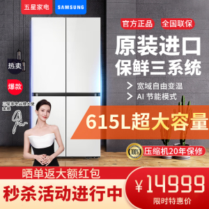 三星RF62DB9KHC01SC大容量 615L嵌入式三循环十字多门冰箱 AI节能 触摸开门 青锦灰
