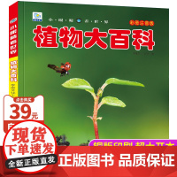 植物百科全书大百科大全图鉴注音版少儿自然花卉科普类书籍小学生阅读课外书籍一二三年级儿童科普绘本读物科学启蒙小眼睛看世界