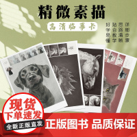 精微素描书入门教材30张60组色彩结构人物动物几何体素描基础美术绘画创意临摹画册步骤详解高清印刷卡片 拆封不退