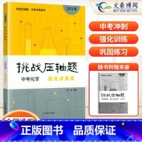 中考化学---强化训练篇 初中通用 [正版]2024新版挑战压轴题中考数学物理化学入门篇精讲篇强化篇专项训练七年级八年级