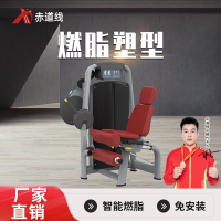 赤道线 大腿伸展训练器综合训练器CDX-A523S-BFT2015
