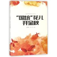 正版新书]国培花儿开金秋梁向明9787227067238