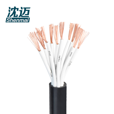 沈迈 护套软电线 ZR-RVV-10*1.0mm²/米
