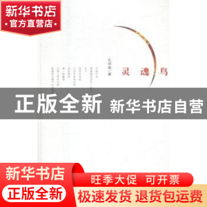 正版 灵魂鸟 孔祥敬著 大象出版社 9787534796166 书籍