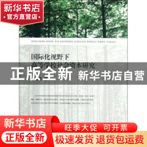 正版 国际化视野下高等学校社会资本研究 叶通贤著 上海交通大学