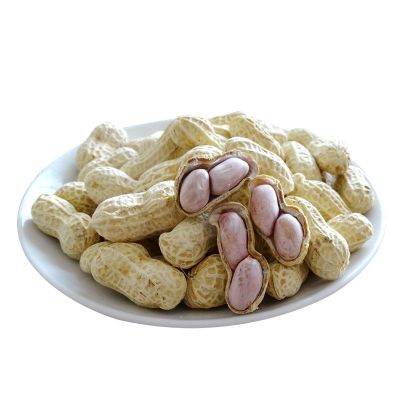 龙岩带壳蒜香味花生水煮白晒咸干花生盐水花生零食水煮白晒咸干花生不脆2斤