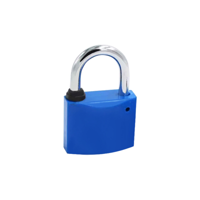 鸿灵睿芯GS35锌合金+ABS 30mm*28mm 挂锁 (计价单位:个)蓝色