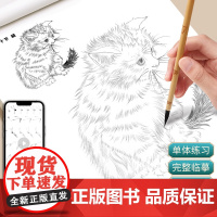 中国画白描入门描摹本国画工笔花卉人物美术套装画本工具描红书初学者画画临摹画册毛笔绘画练习教材