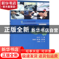 正版 审计实务 肖小飞著 电子工业出版社 9787121335280 书籍