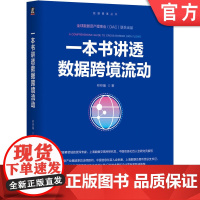 正版 一本书讲透数据跨境流动 林梓瀚 著 上海数交所资深专家撰写 大数据 数据要素 数据资产 数据资产入表 数据空间