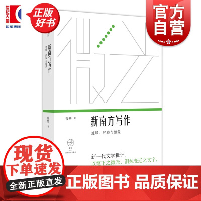 新南方写作 地缘经验与想象 曾攀著上海文艺出版社文体修辞美学探索现实主义写作文学创作