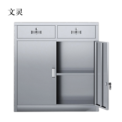 文灵室文件柜不锈钢柜子储物柜资料柜档案柜带锁文件柜201二斗下节