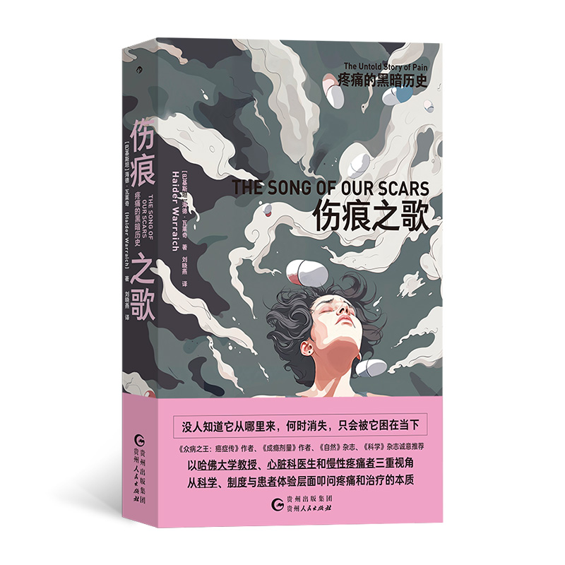 正版新书]伤痕之歌:疼痛的黑暗历史[巴基斯坦]海德·瓦莱奇(Hai