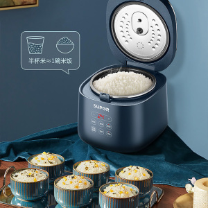 苏泊尔(SUPOR)迷你陶晶电饭煲 1-2-3人2L小容量家用宿舍单人饭锅 小型 SF20FC45