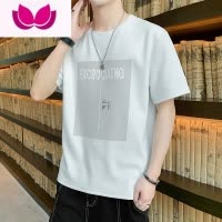 七斓广州十三行夏季男士冰丝薄款短袖t恤打底衫宽松半袖体恤男装衣服