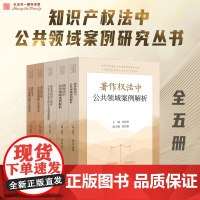 全5册 知识产权法中公共领域案例研究丛书 技术类型 商标法中公共领域案例解析 学理研究 著作权 学理研究 冯晓青 人民法