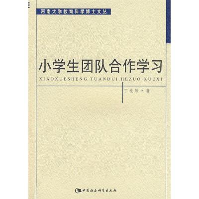 正版新书]小学生团队合作学习丁桂凤9787500463900