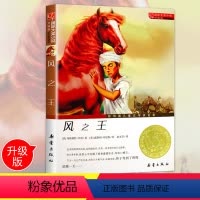 [正版]国际大奖小说 升级版 风之王 小学生课外必读书籍三年级四年级五年级六年级童书阅读图书 新蕾出版社 学校辅导阅读