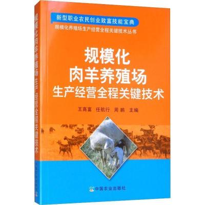 正版新书]规模化肉羊养殖场生产经营全程关键技术/规模化养殖场
