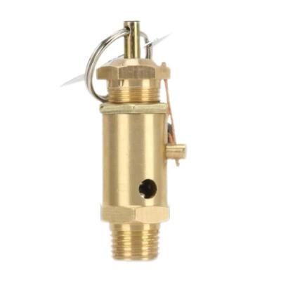 中锦科技 安全阀 A28X-16T弹簧式安全阀 DN25[1寸]个