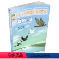 [正版] 王小树的朋友们 枯叶翅膀 开发想象力 提高语文素养 儿童文学 童话书 小学生课外阅读