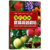 正版新书]现代果树优质高效栽培编者:王慧珍//彭良智//张生志//