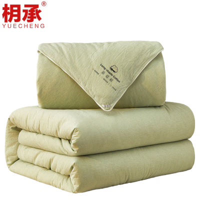枂承冬被2.2m6斤床
