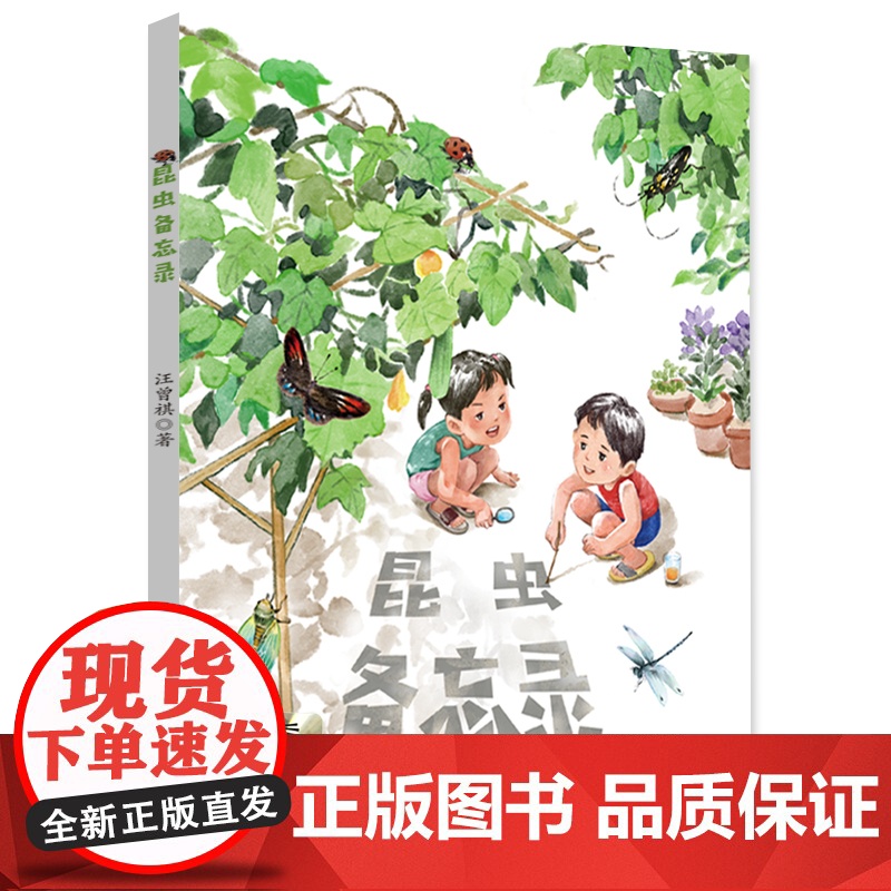 《昆虫备忘录 》 2024暑假百班千人阅读 3/三年级小学生课外阅读书籍小学生中国儿童文学课外阅读书暑假读物青少年课外读