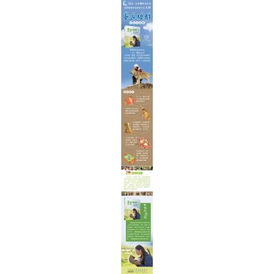 城市流浪:重返狼群.彩绘注音版1