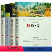 全套4册 [正版]全套4册 简爱+欧也妮葛朗台+傲慢与偏见+茶花女书原著文学小说名家名译世界经典名著中小学生课外阅读必读