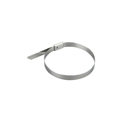 斯赞 304不锈钢扎带自锁式捆绑扎带 4.6*200mm 根