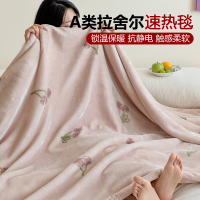 A类双层加厚拉舍尔超柔云毯柔软舒适保暖秋冬休闲毯简约双面可用