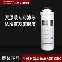 汉斯顿/Hunsdon滤芯 旋拧式300G反渗透RO膜
