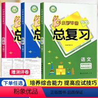 [共2本]语文+数学 小学升初中 [正版]2024新版小学毕业升学总复习语文数学英语 名校培优小学生六年级小升初基础知识