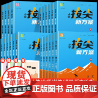 2025新小学拔尖新方案一二三四五六年级下册语文数学英语人教版教版上册新教材同步尖子生培优一课一练同步练习册题天天练拔尖