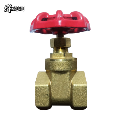 洋蝲蝲 阀门 DN20 单位:个