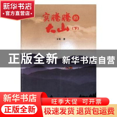 正版 实腾腾的大山:长篇小说:下 文钦著 甘肃文化出版社 97875490