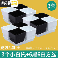 三维工匠控根多肉花盆套装组合塑料创意个性简约透气北欧风肉肉小盆器 [3套]小白托+2黑2白盆(7cm盆) 中小花盆容器