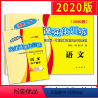 [正版]2020上海领先一步中考一模卷语文 试卷+答案 文化课强化训练一模卷 上海市各区初三第一学期期末质量抽查试卷精